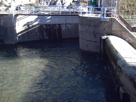 Caudal Ecológico...aquí hay Gato